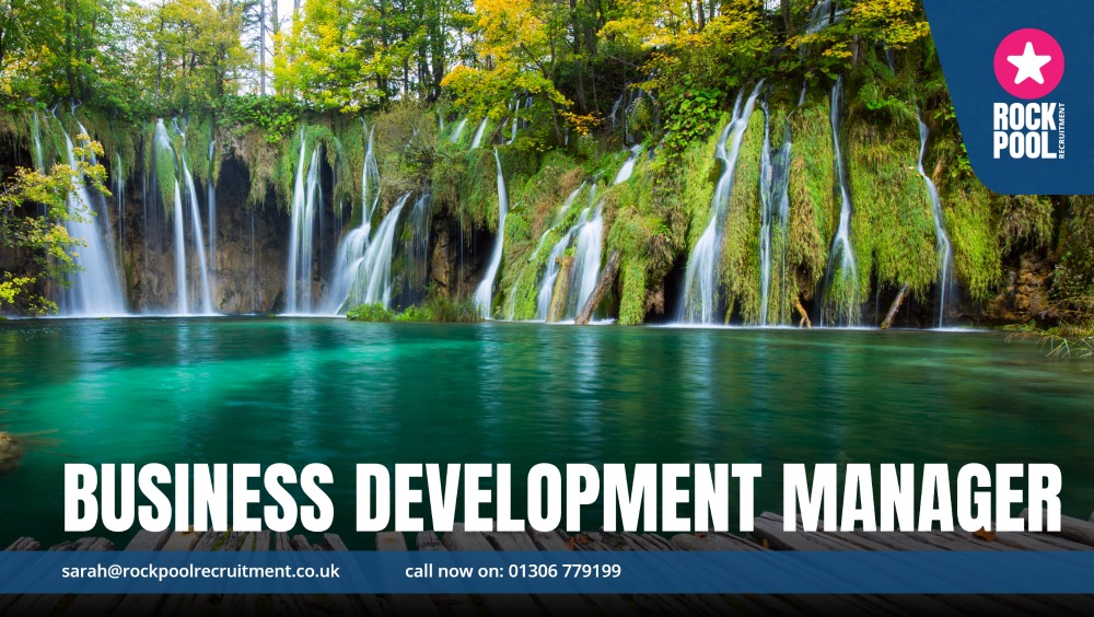 BUSINESSDEVELMAN