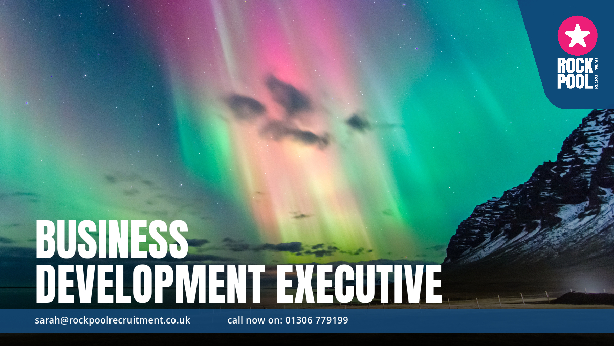 BUSINESSDEVELNORHTERNLIGHTS
