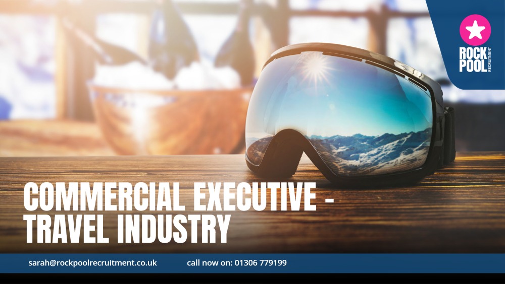 COMMERCIAL EXECUTIVE TRAVEL