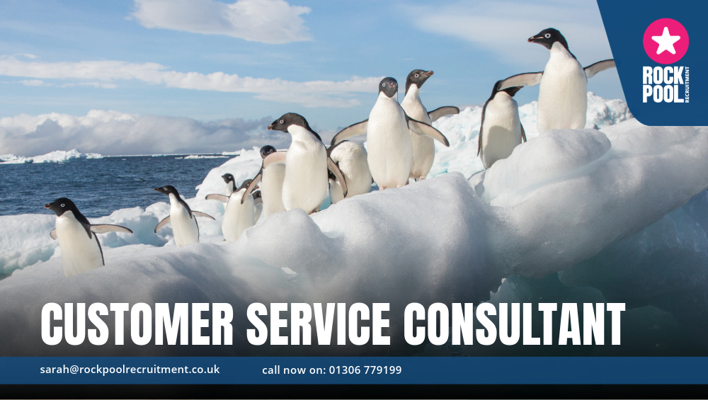 CUSTOMER SERVICE CONSULTANT 
