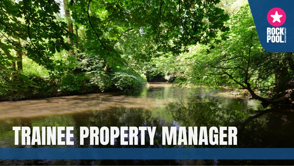 Job 010222 copy 27 2025 12 10T142624.501