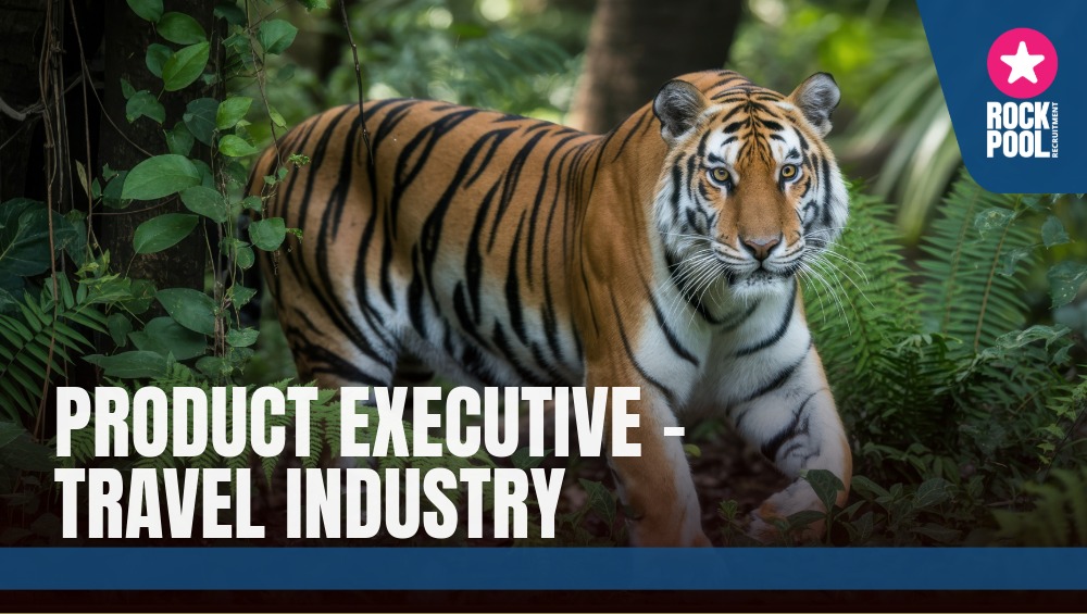 Job 010222 copy 27 2026 03 22T190346.608