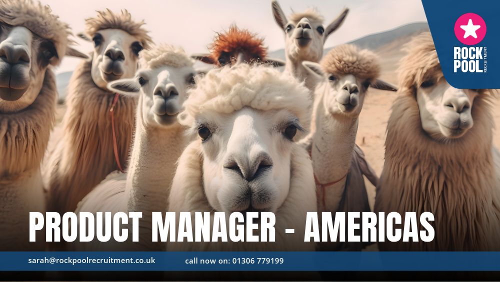 PRODUCT MANAGER AMERICAS