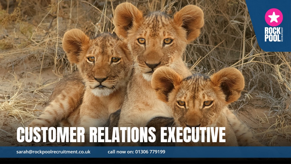 RP0074CUSTOMERRELATIONS