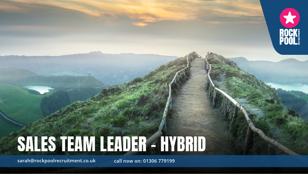 SALESTEAMLEADERHYBRID
