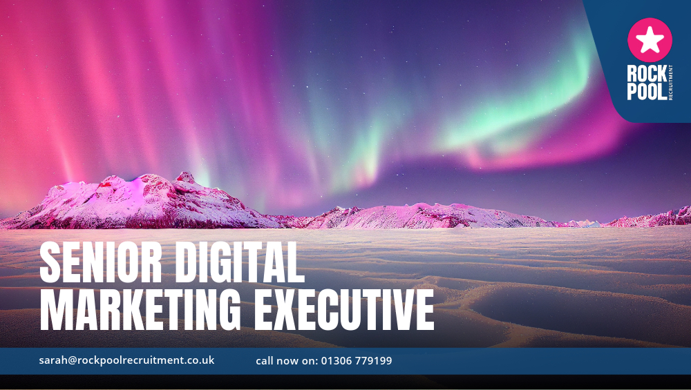 SENIOR DIGITAL MARKETING EXEC